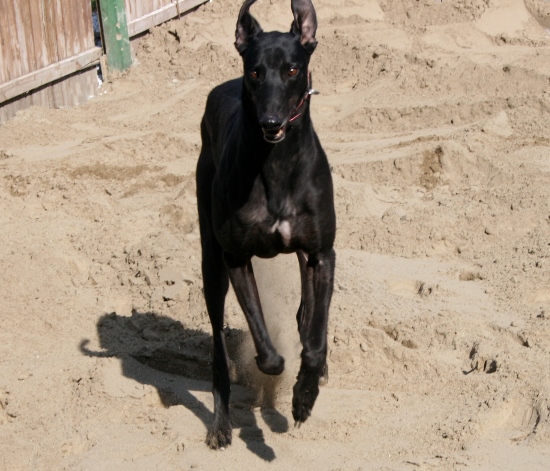 New Sand!